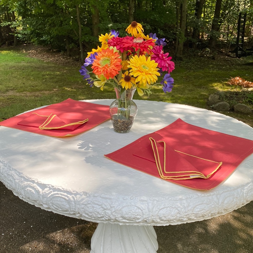 Like New 4 Reversible Placemats with 4 Matching Napkins